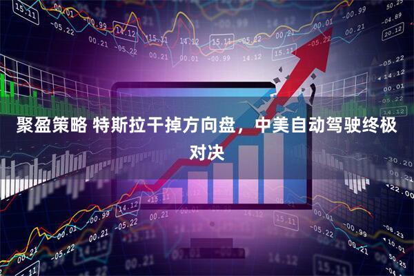 聚盈策略 特斯拉干掉方向盘，中美自动驾驶终极对决