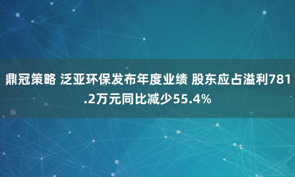 鼎冠策略 泛亚环保发布年度业绩 股东应占溢利781.2万元同比减少55.4%