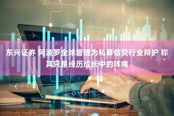 东兴证券 阿波罗全球管理为私募信贷行业辩护 称其只是经历成长中的阵痛