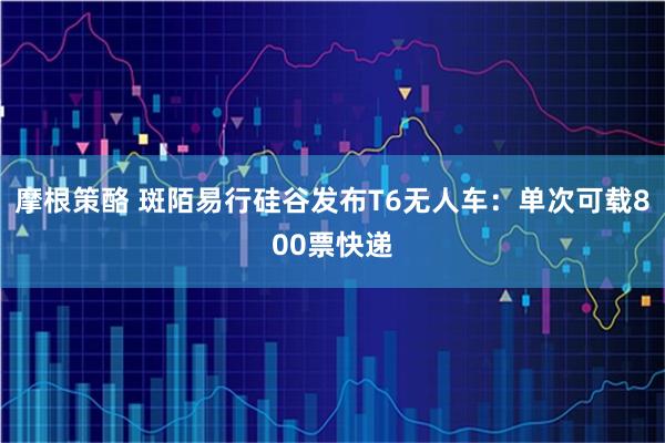 摩根策酪 斑陌易行硅谷发布T6无人车:单次可载800票快递