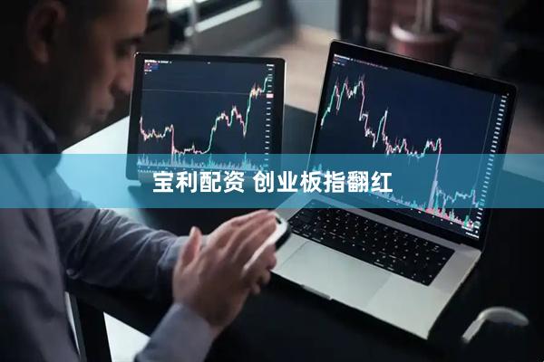 宝利配资 创业板指翻红